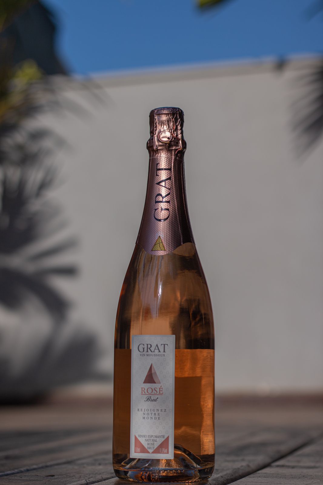 WhatsApp Image 2022-07-08 at 15.05.18.jpeg