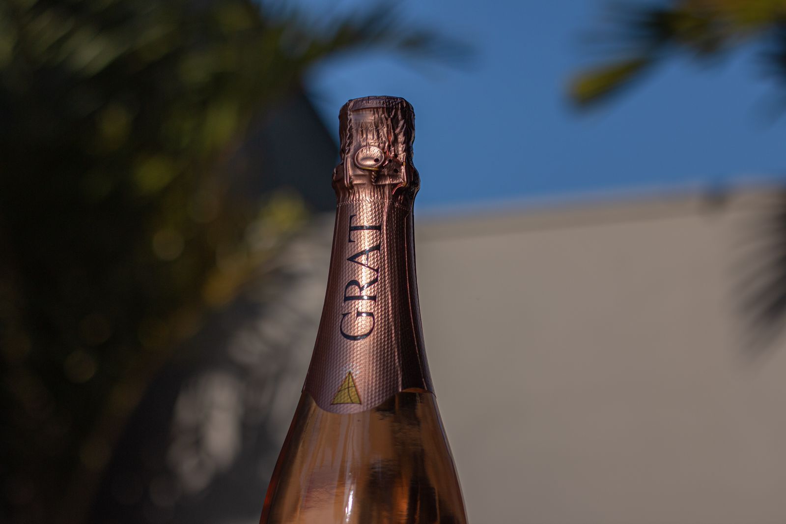 WhatsApp Image 2022-07-08 at 15.05.18 (1).jpeg