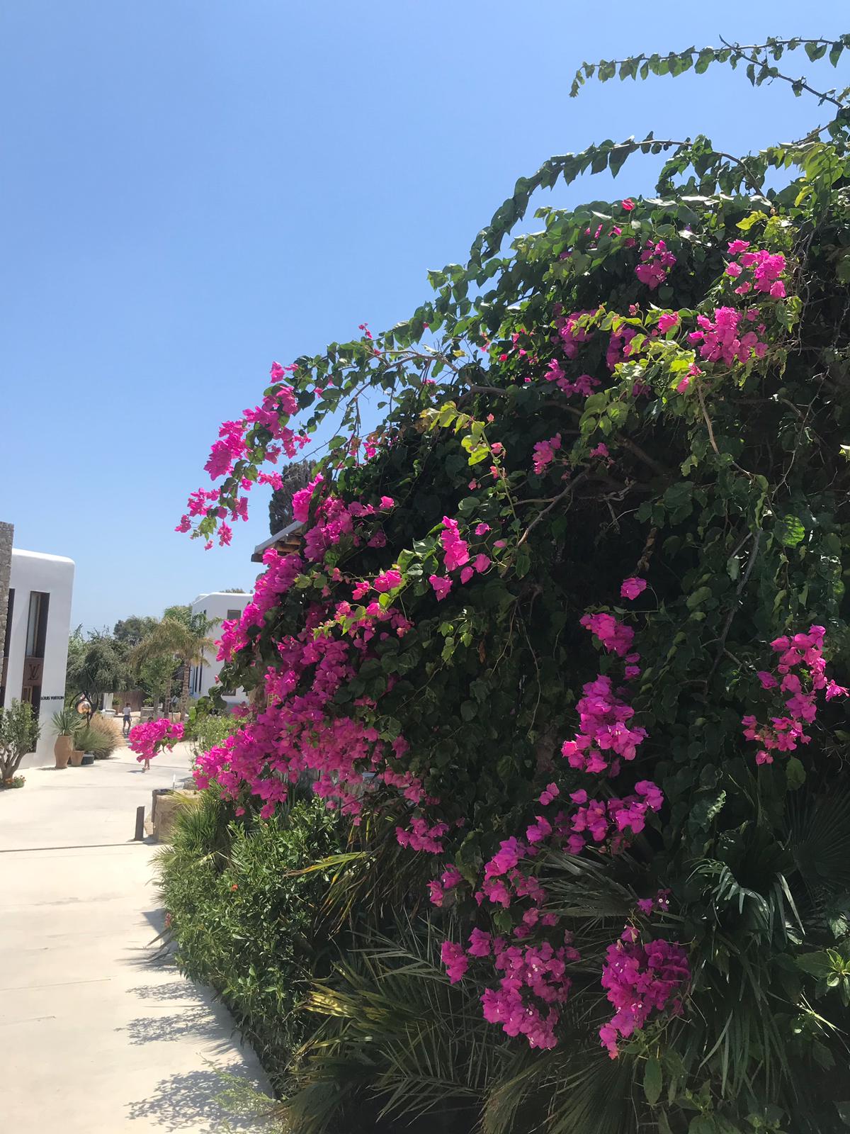 53c8731d-9181-478a-8a10-3bf438e23b48.jfif