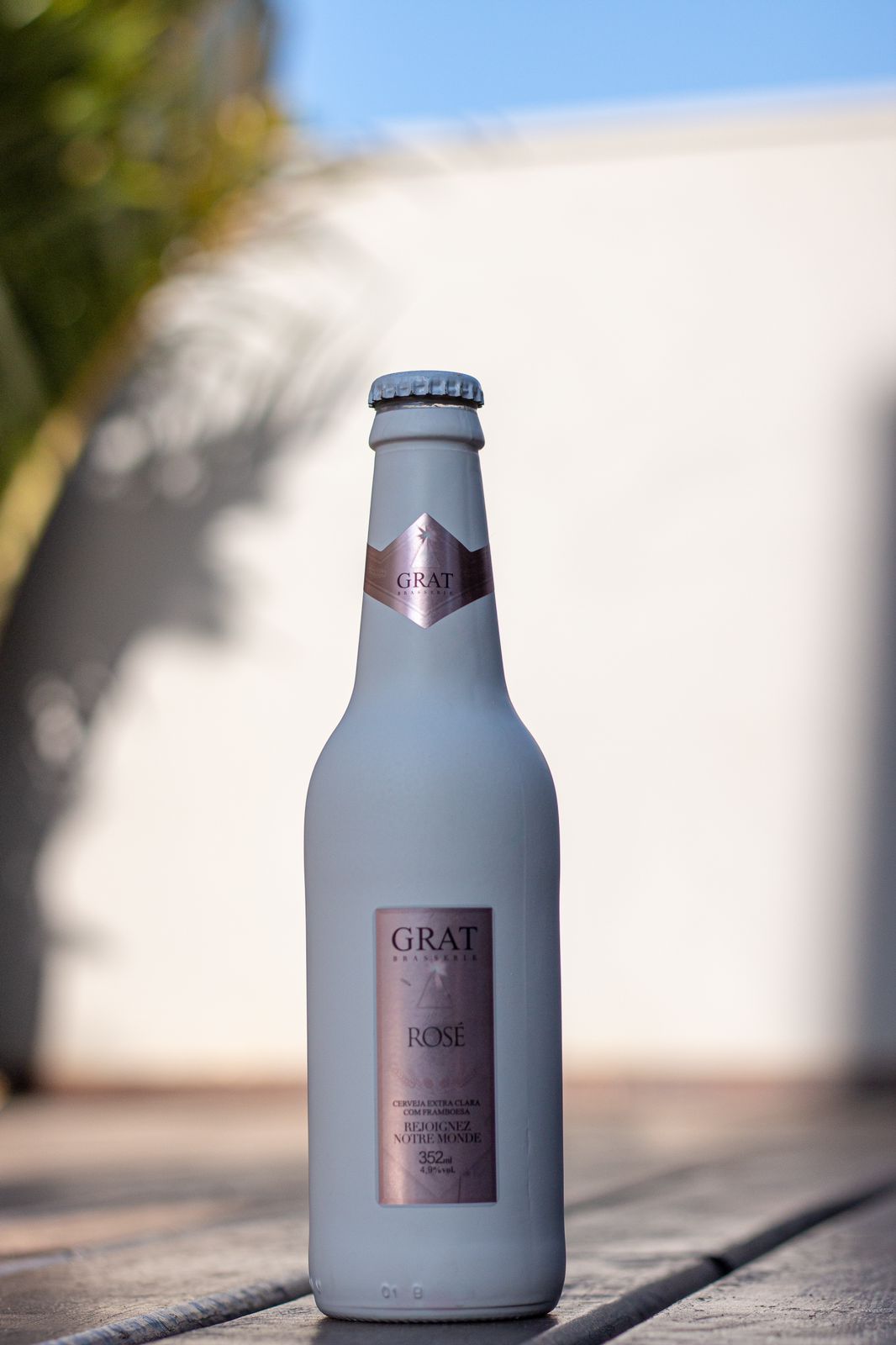 WhatsApp Image 2022-07-08 at 15.05.17.jpeg